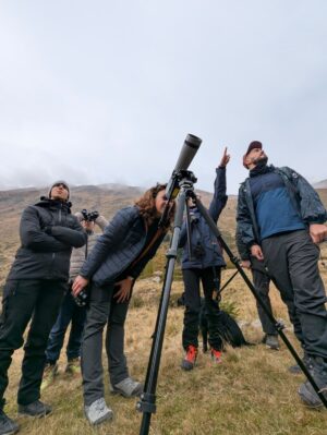 Team Building Experience